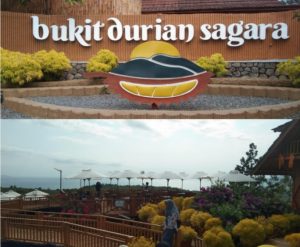 Bukit Durian Sagara: Surga Alam yang Menakjubkan di Sukabumi